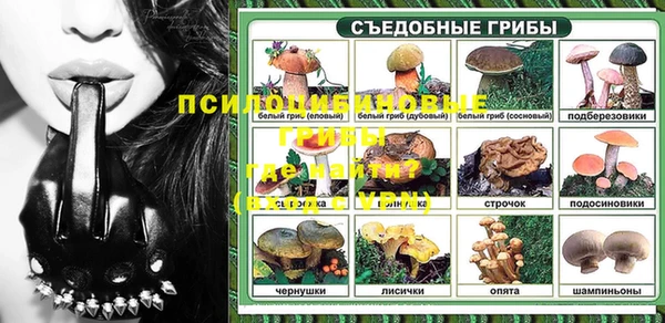 mdpv Арсеньев