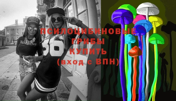 бошки Армянск