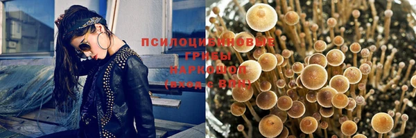 mdpv Арсеньев